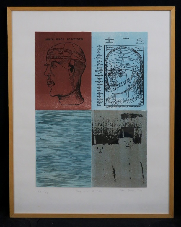 Kostana Banovic: Litho, Poeshpa en de rode sneeuw - Ingelijst (Groot) kopen? Bied vanaf 20!