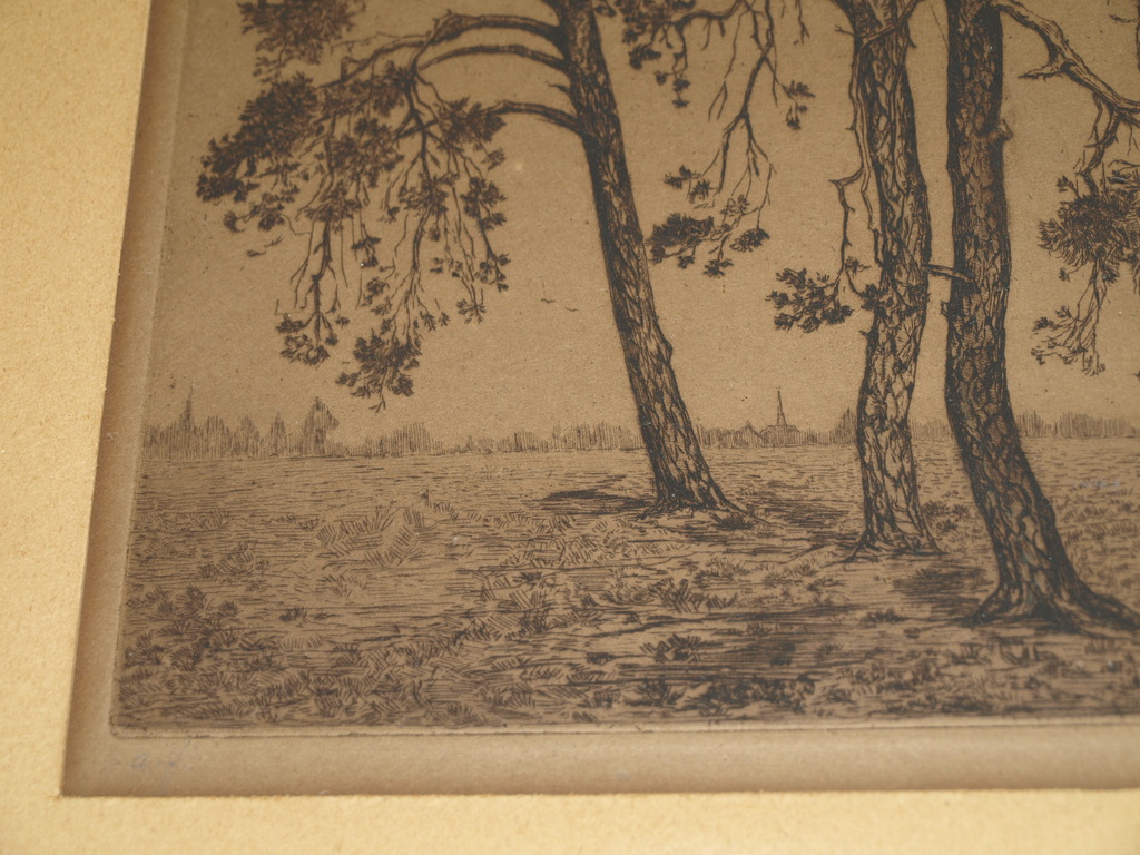 SUZE DE LINT (1878-1953) – Ets- Bomen  –Gesigneerd & ingelijst–ca 1920 kopen? Bied vanaf 45!