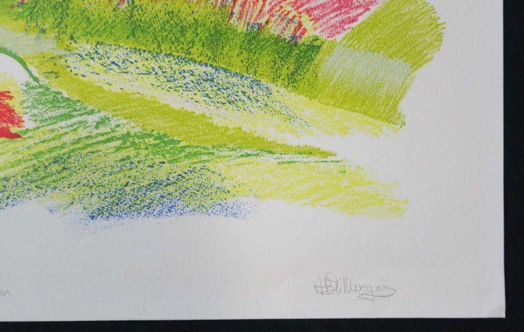 Ami Bernard Zillweger: Litho, Val da Cam kopen? Bied vanaf 1!