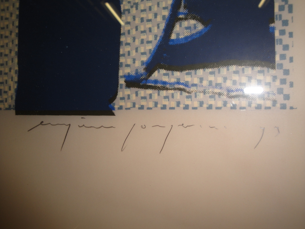 Eugene Jongerius  grote zeefdruk   132.0 x 0.97 ! kopen? Bied vanaf 200!