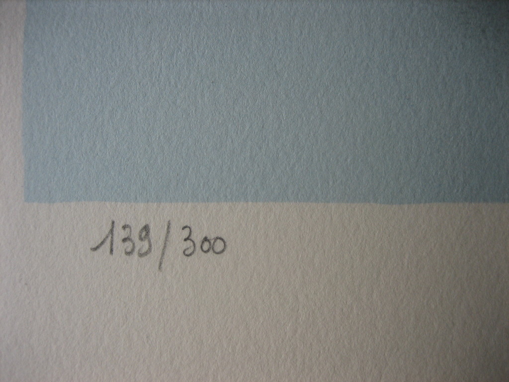 Mara Tran Long - Nu Á La Rose - Lithografie - Oplage 300 ex. - Handgesigneerd kopen? Bied vanaf 1!