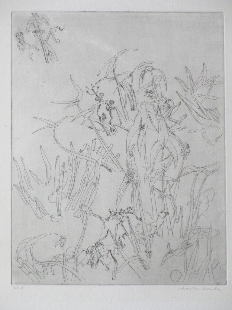 Charles Donker, Pijlkruid III, Ets verkocht voor € 65!