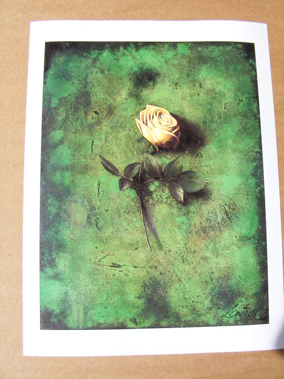 Michael Lauterjung, fotodruk,"Rosenstilleben", handgesigneerd! kopen? Bied vanaf 1!