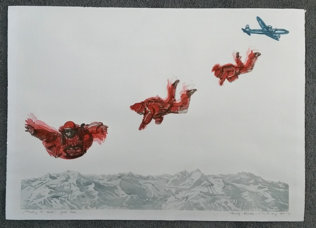 Leentje Linders - Falling to Earth, part three - kleurenets met reliefdruk kopen? Bied vanaf 35!