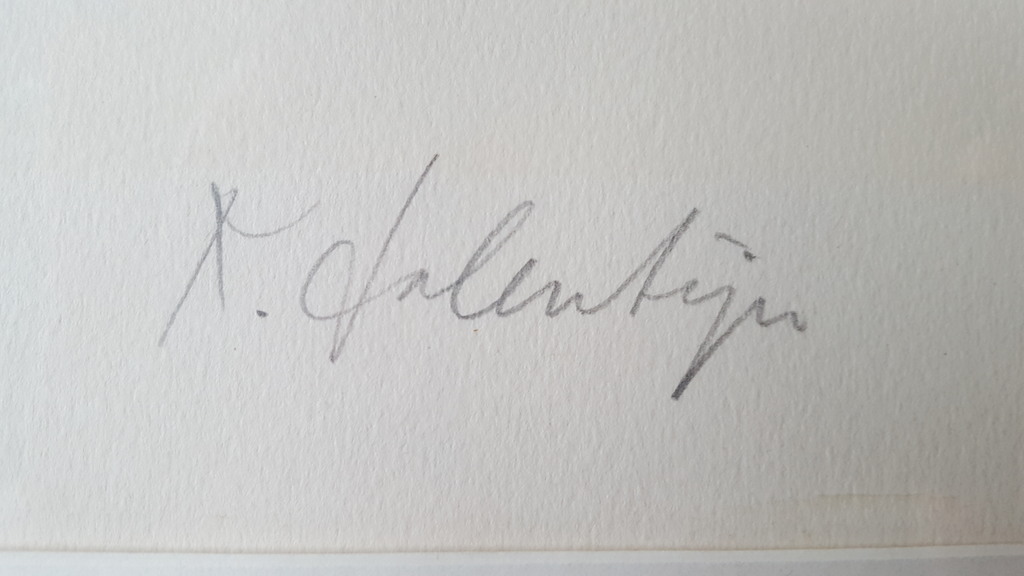 Kees Salentijn - zeefdruk 126/200, gesigneerd (groot) kopen? Bied vanaf 1!