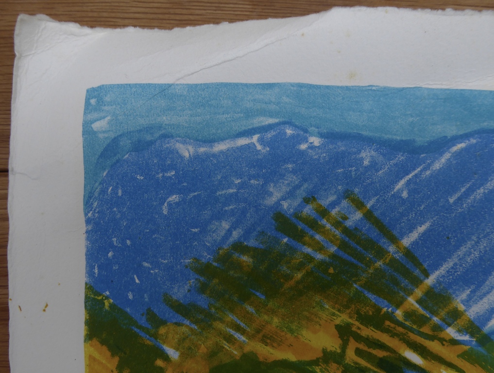 Kleuren litho van Jan Cremer uit 1976 kopen? Bied vanaf 1!