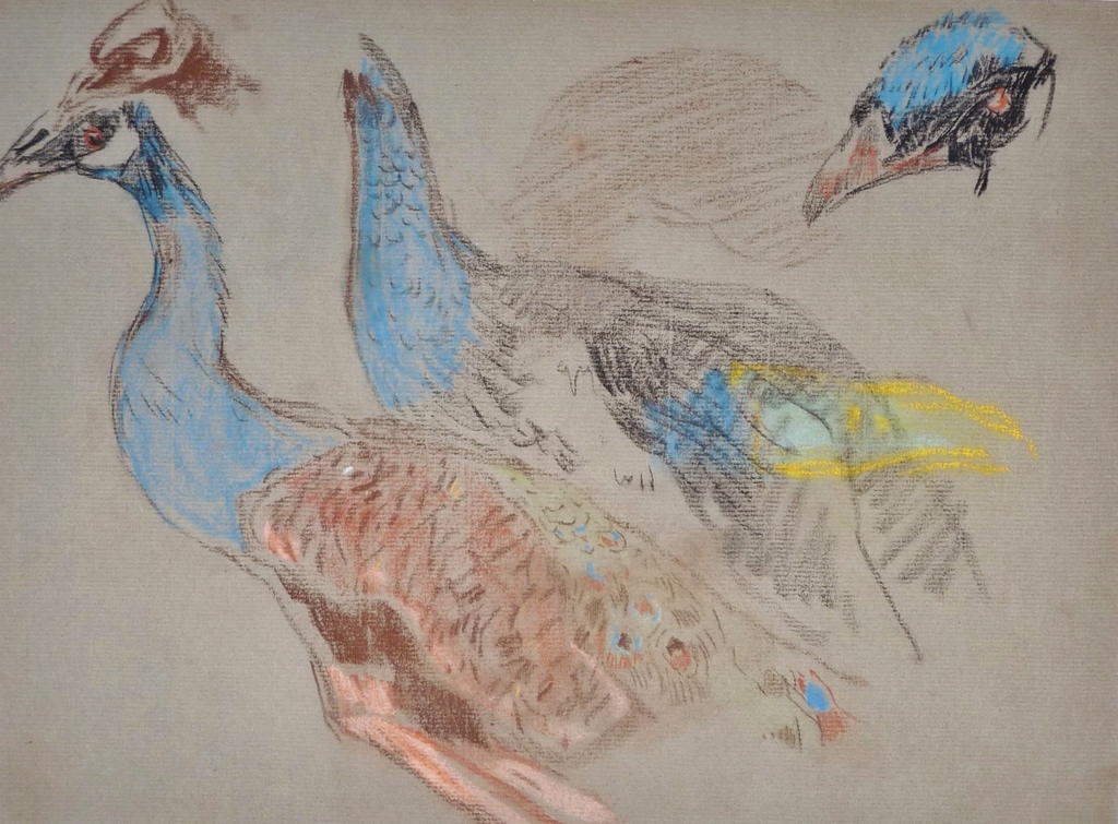 Willem de Zwart, Pastel, Pauwen kopen? Bied vanaf 90!