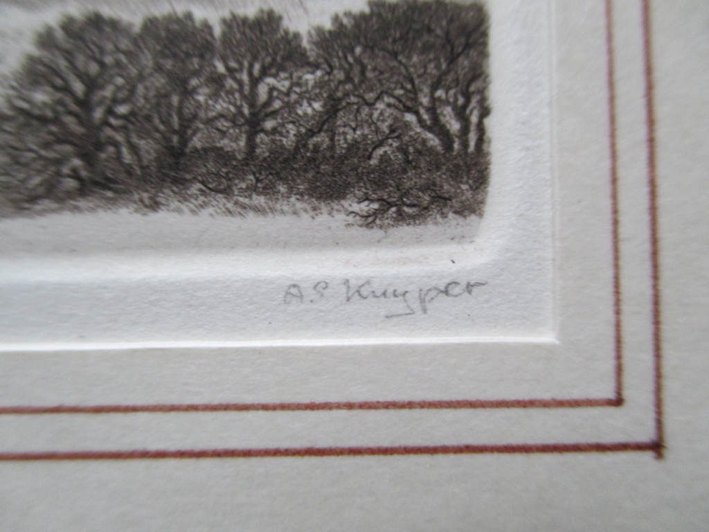 Anneke Kuijper, etsje vleermuis. kopen? Bied vanaf 25!