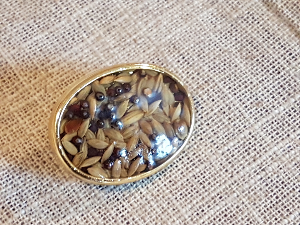 Broche met echte zaden en peperkorrels en fruit kopen? Bied vanaf 3!