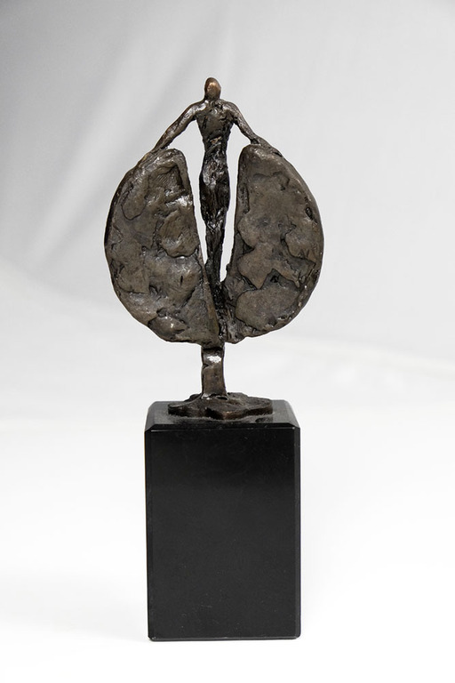 Bronzen beeldje van figuur met vleugels - krachtige uitstraling - met signatuur kopen? Bied vanaf 75!