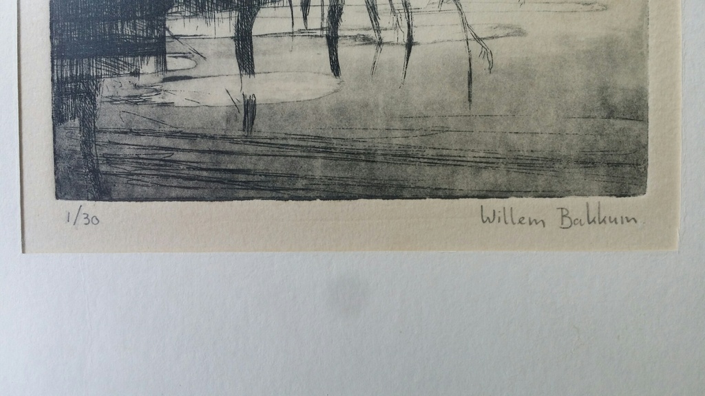 Willem Bakkum, Ets, Riviergezicht kopen? Bied vanaf 20!