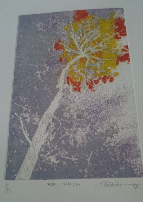 Nicolas Pagnier, ets , Ete Indien kopen? Bied vanaf 45!