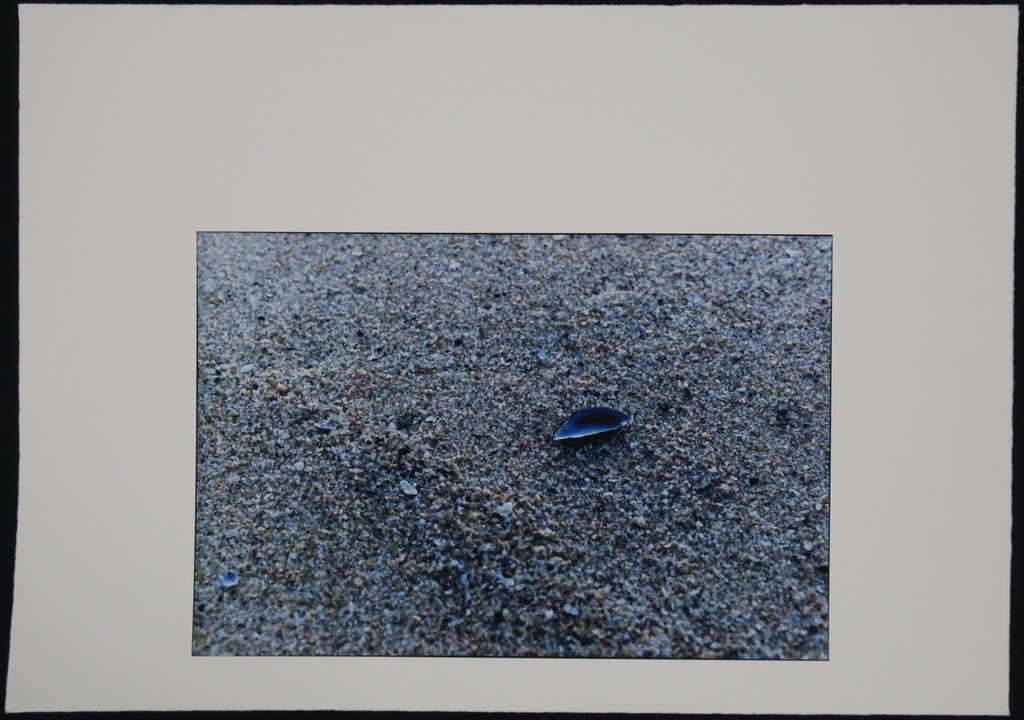 Bernard Ruygrok: Piezografie, Zonder titel (blauwe schelp) kopen? Bied vanaf 1!