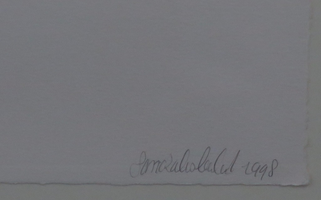 Sandra Kruisbrink: Litho, Zonder titel -Ingelijst kopen? Bied vanaf 70!