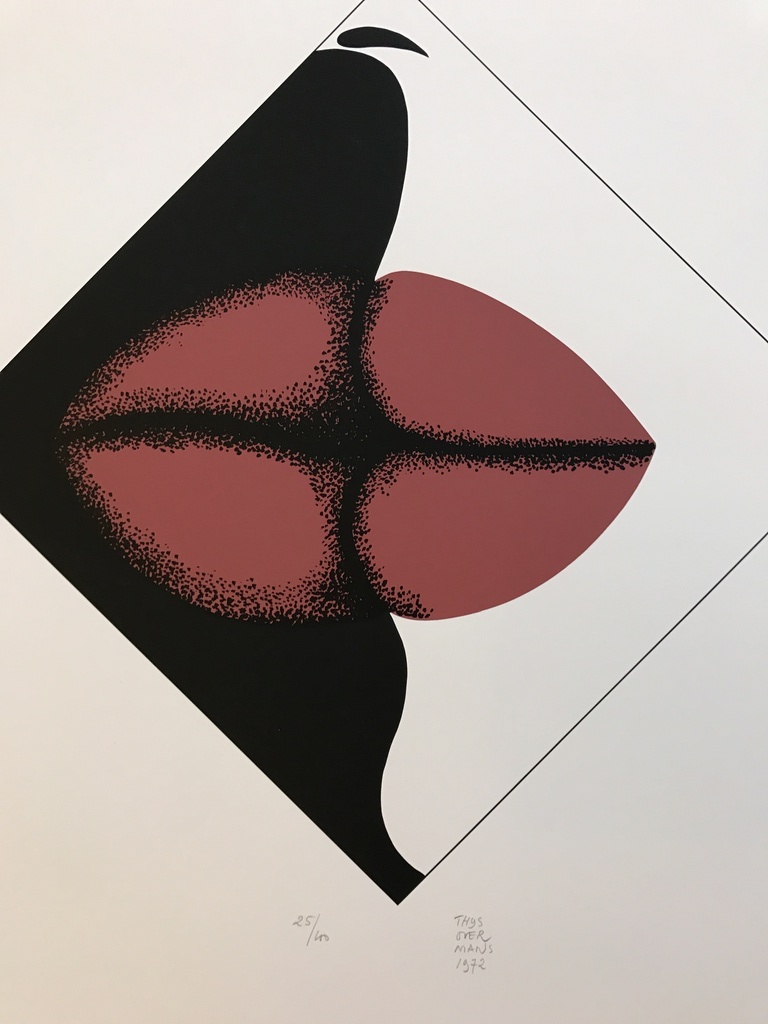 Thijs Overmans Originele Zeefdruk/ LITHO 1972 kopen? Bied vanaf 1!