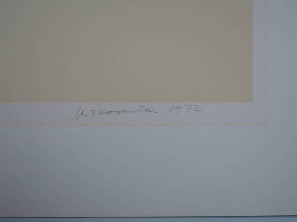 Metten Koornstra: Litho, Landschap met huis kopen? Bied vanaf 1!