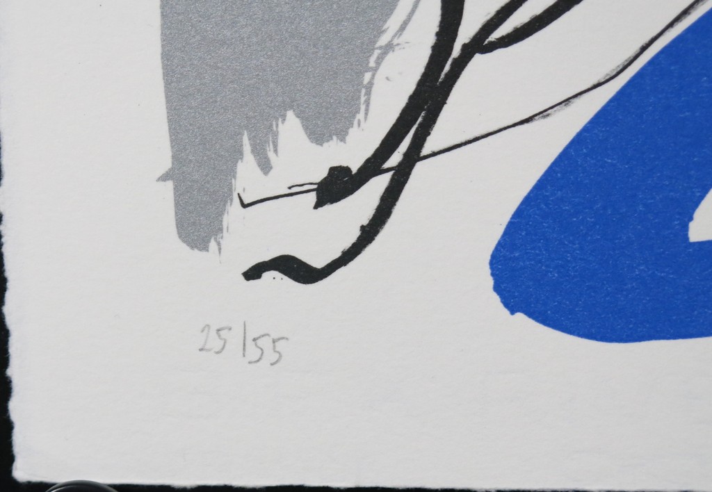 Rinke Nijburg: Litho, Ontmoeting kopen? Bied vanaf 1!