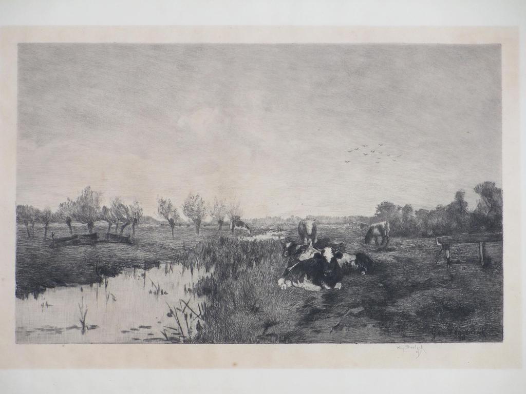 Willem Steelink, Hollands poldergezicht met vee, Ets verkocht voor € 45!