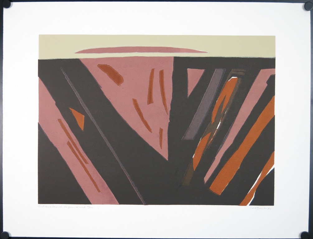 Tijs Buit: Lino, O-Flevoland kopen? Bied vanaf 20!