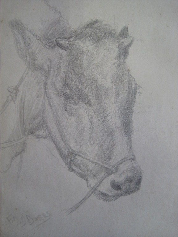Frans Boers 1914-1987 tekening "Koe" ca. 1950 Laren  kopen? Bied vanaf 1!