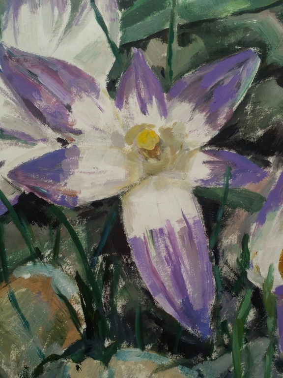 Maria Catharina Verloop. Olieverf op papier. Bloem. kopen? Bied vanaf 1!