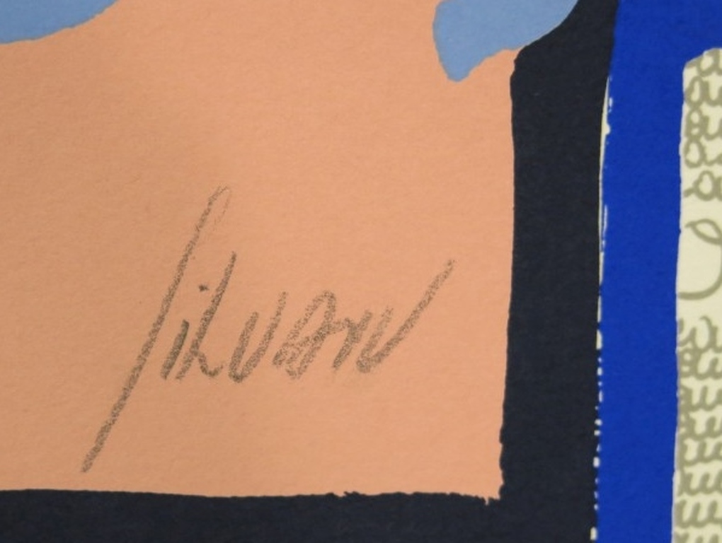 Christian Silvain: Zeefdruk, Vol de Nuit  kopen? Bied vanaf 150!