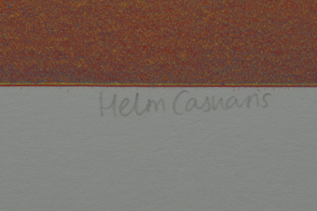 Rosetta Spadaro - gesigneerde ets - Helm Casuaris - 1995 kopen? Bied vanaf 10!