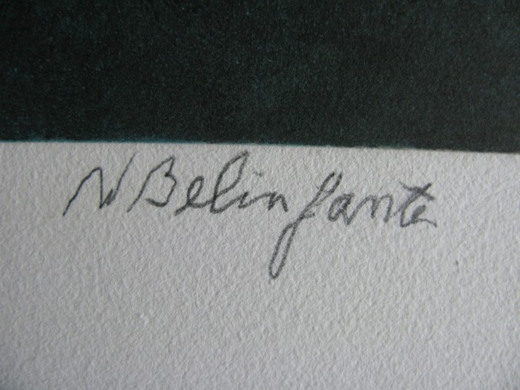 Willy Belinfante - SCHEMER IN DE PROVENCE - kleurets kopen? Bied vanaf 1!