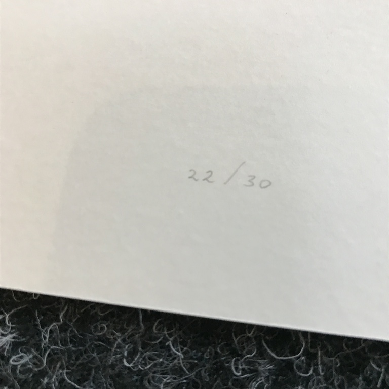 PIET OOSTHOEK  Blind druk 1984 kopen? Bied vanaf 1!