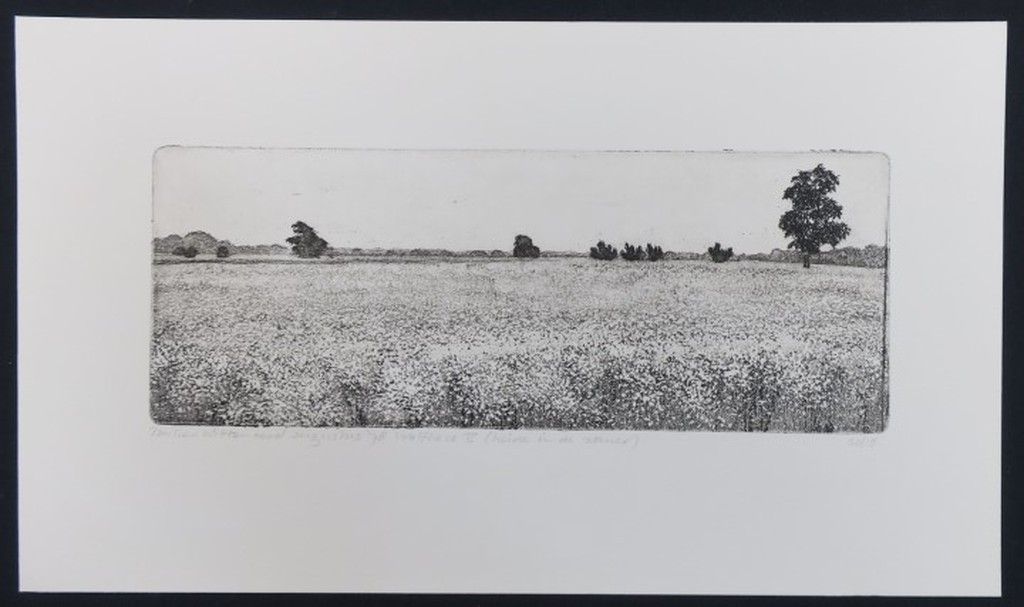 Paulien Wittenrood: Ets, Wolfheze V (heide in de zomer) kopen? Bied vanaf 35!