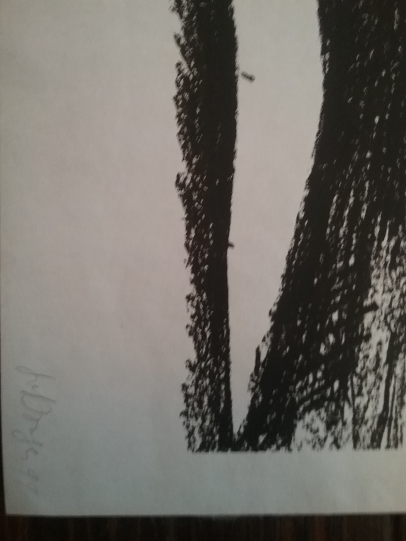 Iris van Dongen kopen? Bied vanaf 1!