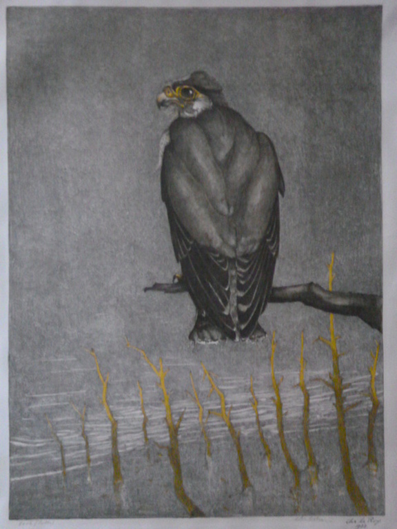 Chris Le Roy - kleurenlitho - Valk verkocht voor € 100!