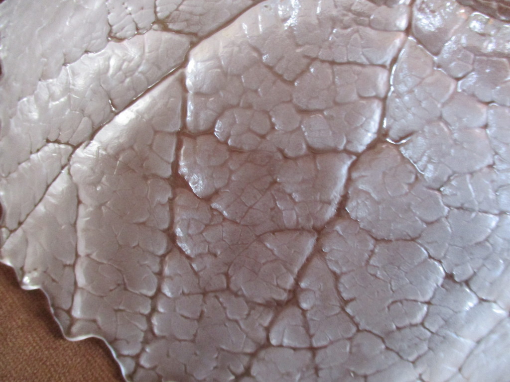 Matt Jonasson - Kristallen schaal in vorm van een blad kopen? Bied vanaf 25!