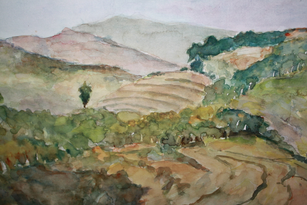2x aquarellen LANDSCHAPPEN JAAP v VEEN kopen? Bied vanaf 1!