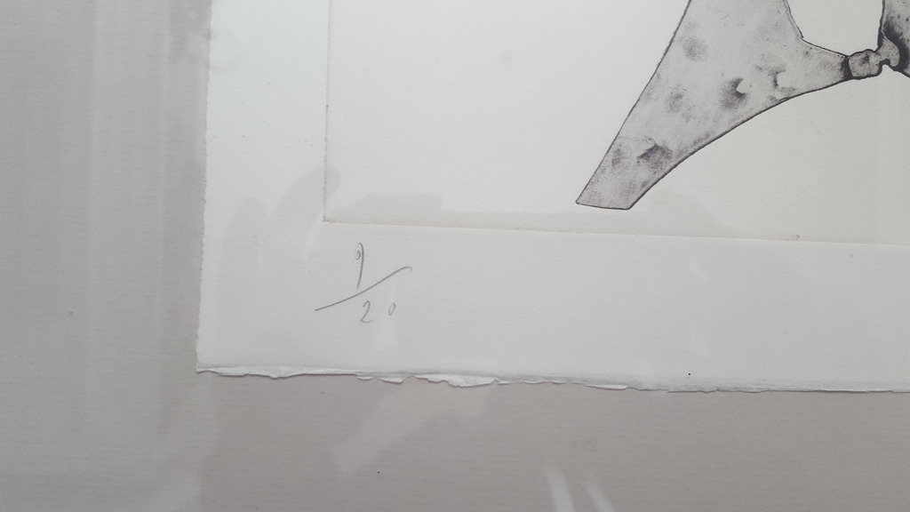 Reinhoud D'Haese (1928-2007) - metaaldruk 1/20, handgesigneerd (ingelijst) kopen? Bied vanaf 185!