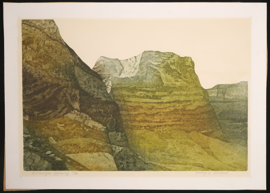 Anthony van Lieshout: Ets en aquatint, Beeindigde afgraving kopen? Bied vanaf 1!