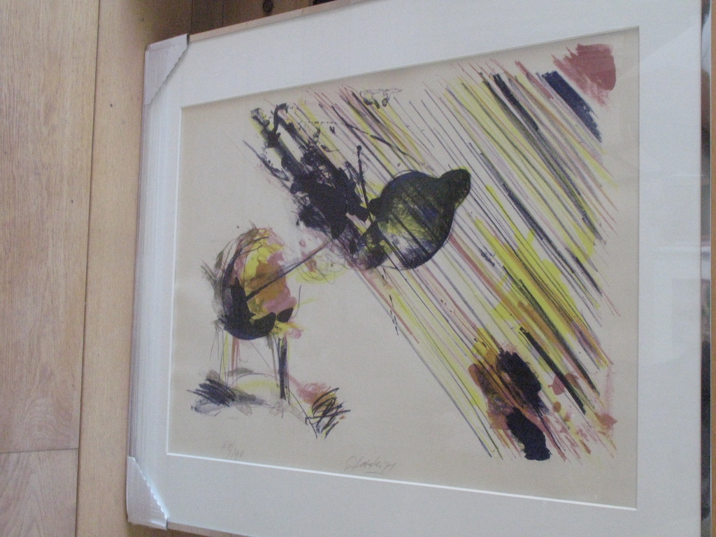 GER LATASTER | moderne litho uit 1971 (Perfecte staat en INGELIJST) verkocht voor € 100!