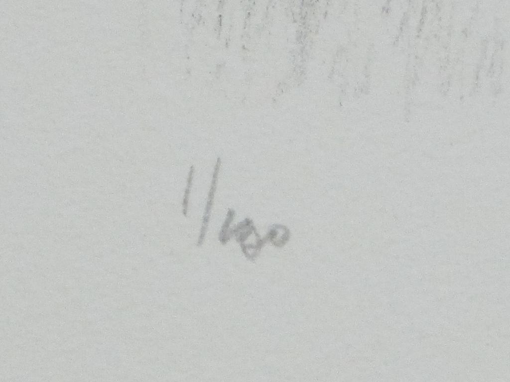 Metten Koornstra, Figuren in duister landschap bij huis, Litho kopen? Bied vanaf 45!