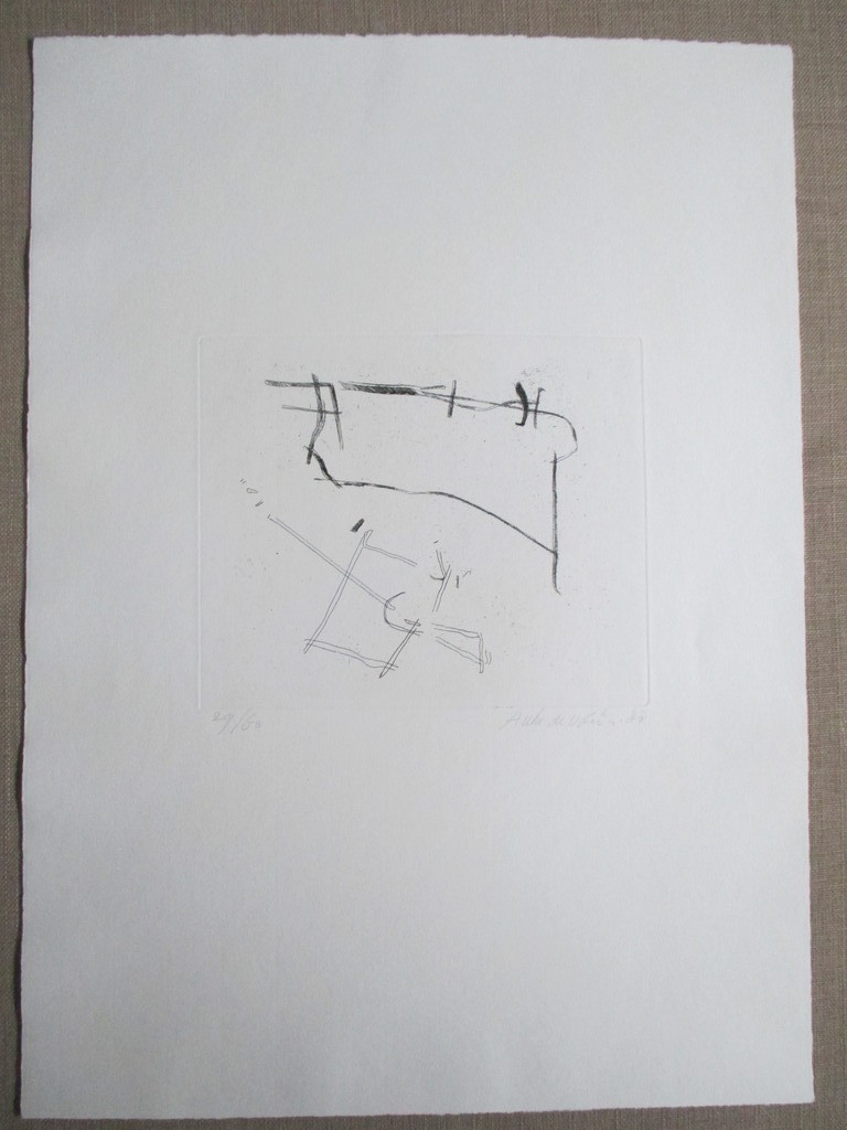 Auke de Vries, lijnets 1988, nr. 29/60 ex. kopen? Bied vanaf 90!