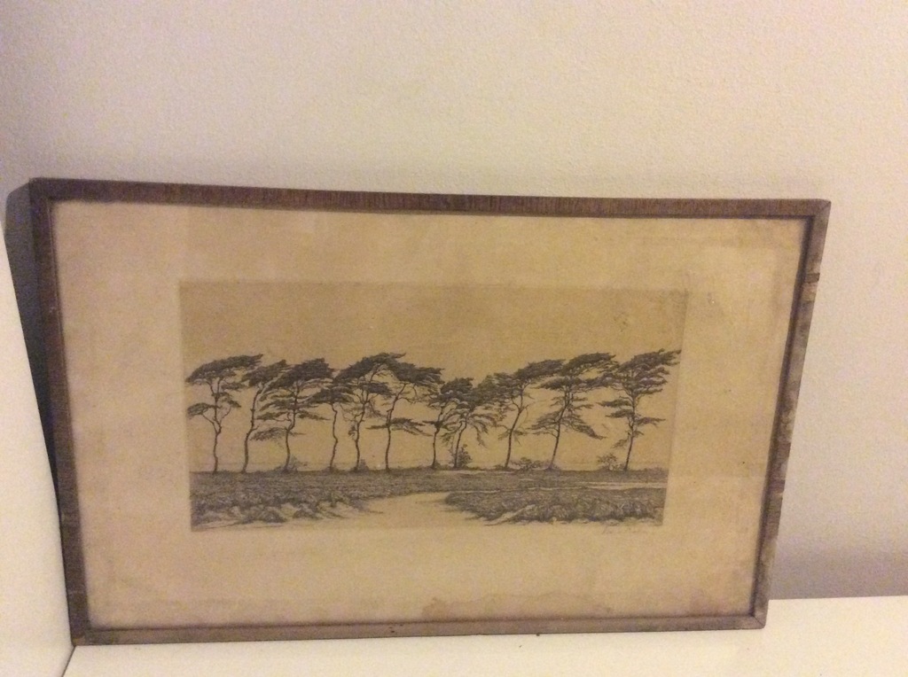 Litho Marie (Mia) Bake (1851-1909) De Natuur kopen? Bied vanaf 1!