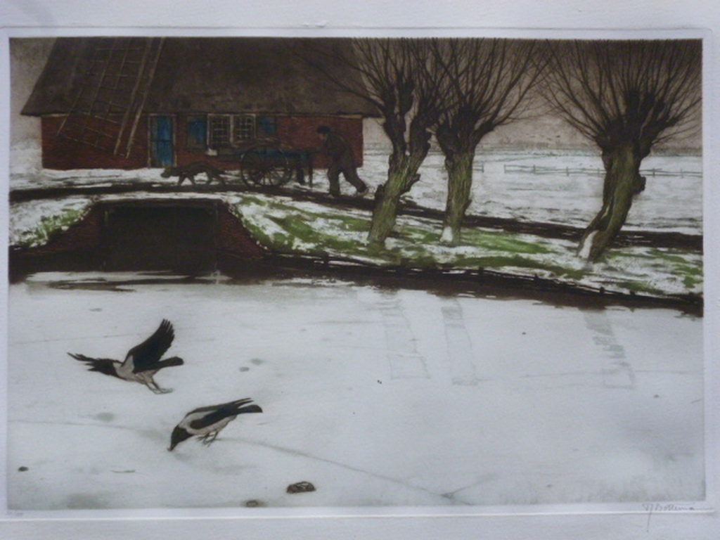 Tjeerd Bottema - kleurenets - Eksters op het ijs kopen? Bied vanaf 100!