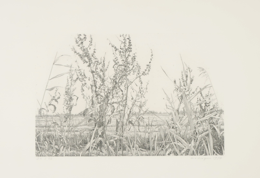 Han van Hagen: Ets, Zonder titel - Ingelijst kopen? Bied vanaf 35!