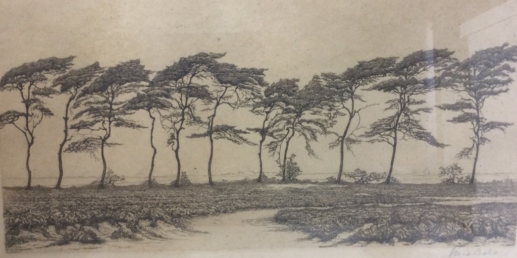 Litho Marie (Mia) Bake (1851-1909) De Natuur kopen? Bied vanaf 1!