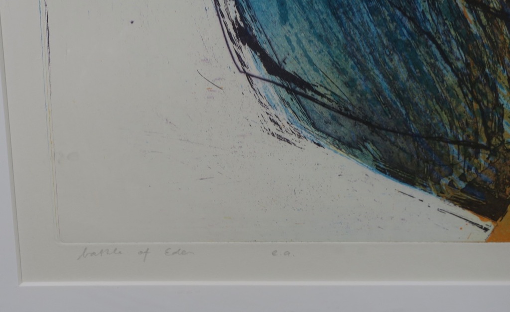Hans Vredegoor: Ets en Aquatint, Battle of Eden - Ingelijst kopen? Bied vanaf 40!