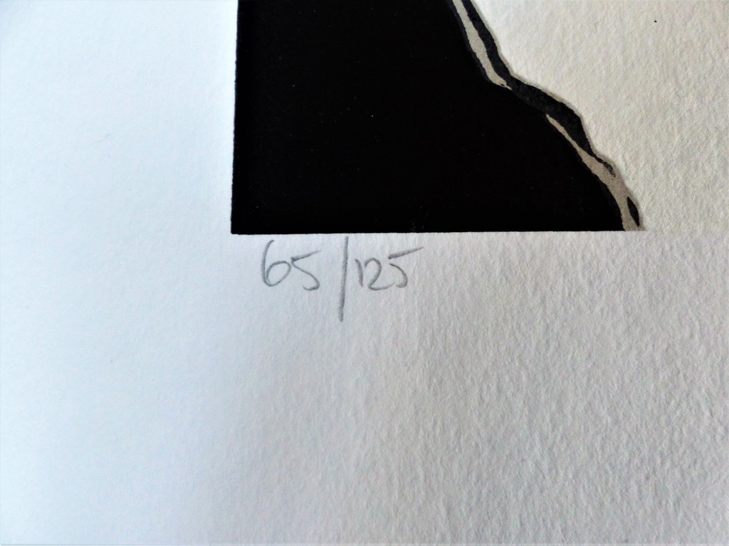 Ronald Boonacker,Zeefdruk op papier,Night sky 3,Handgesigneerd kopen? Bied vanaf 30!