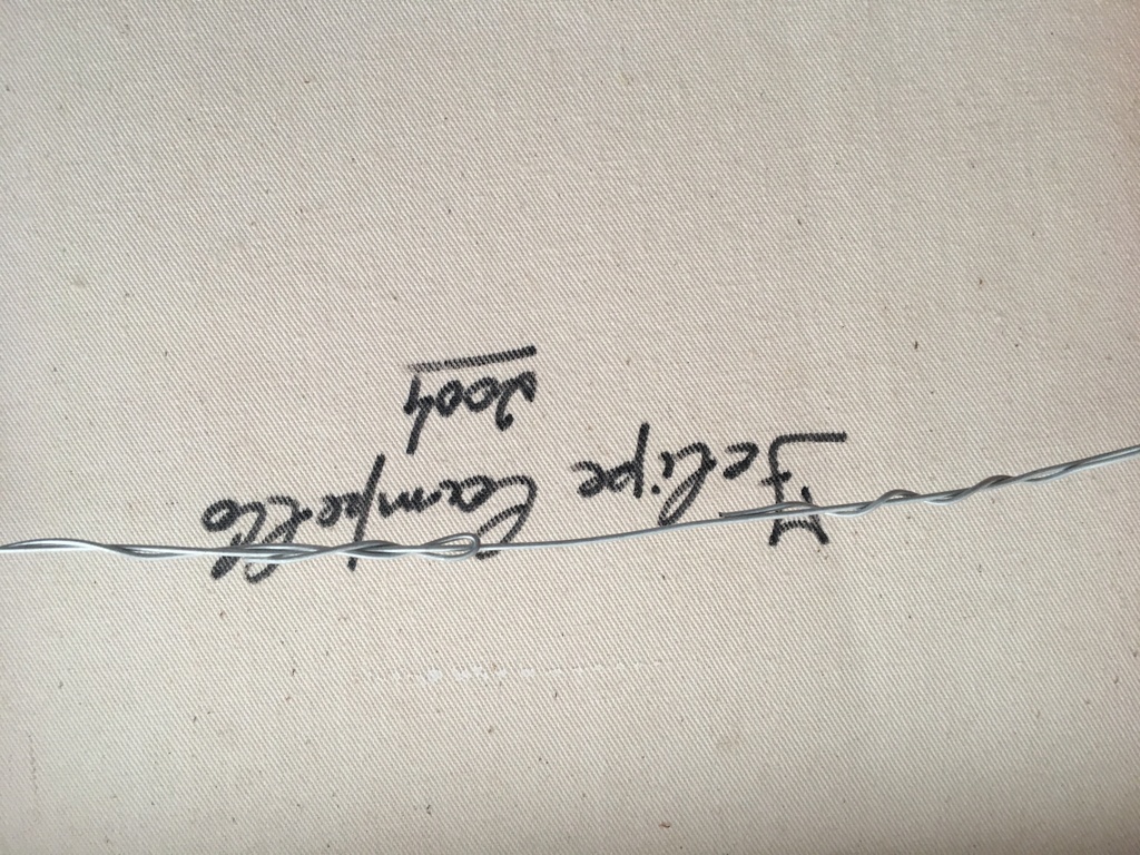 Brazil Strandvisser kopen? Bied vanaf 40!