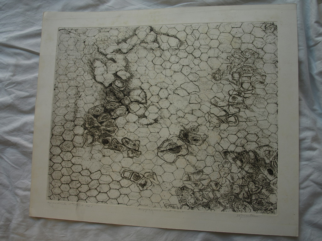 Walter Barten : Ets , Kippegaas met hout – gesigneerd – ca 1980 kopen? Bied vanaf 1!