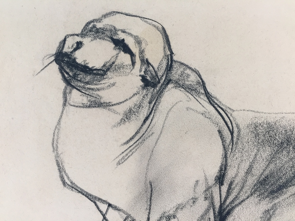 Nico Molenkamp - Nico Molenkamp, krijttekening op papier kopen? Bied vanaf 240!