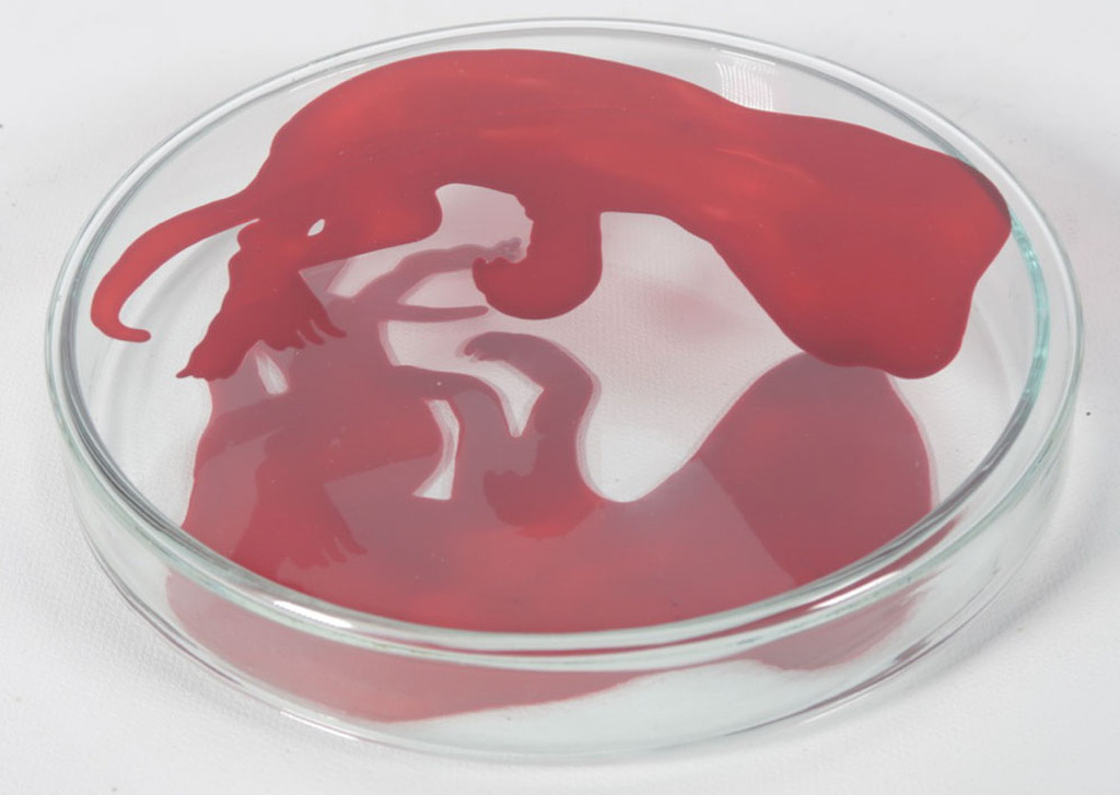 Lisette Verkerk: Beschilderd petrischaaltje, Origins II kopen? Bied vanaf 35!