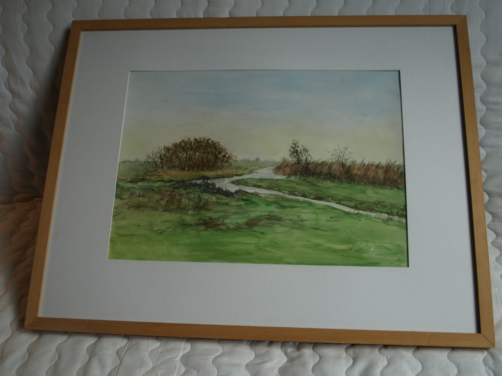 Joanne de Wilde – Aquarel – Water en riet – Ingelijst 71 x 56 cm kopen? Bied vanaf 1!